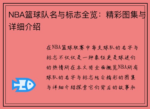 NBA篮球队名与标志全览：精彩图集与详细介绍