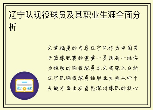 辽宁队现役球员及其职业生涯全面分析