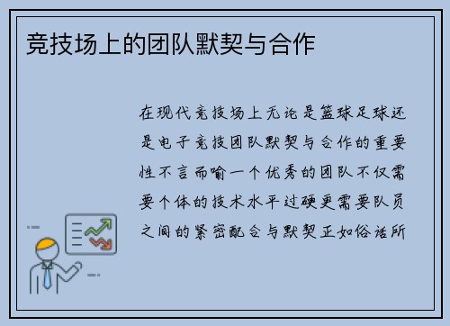 竞技场上的团队默契与合作